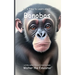 It's Time to Learn about Bonobos