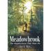 Meadowbrook: The Neighborhood That Made Me