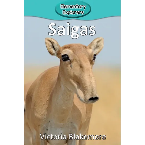 Saigas
