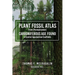 Plant Fossil Atlas From (Pennsylvanian) Carboniferous Age Found in Central Appalachian Coalfields