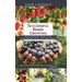 Successful Berry Growing: How to Plant, Prune, Pick and Preserve Bush and Vine Fruits