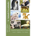 Animals Level 2: A Spanish/English Book for Children Toddlers - Pre-School