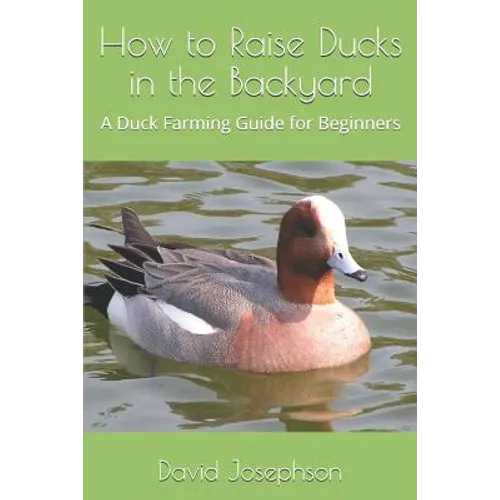 How to Raise Ducks in the Backyard: A Duck Farming Guide for Beginners