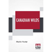 Canadian Wilds: Tells About The Hudson's Bay Company, Northern Indians And Their Modes Of Hunting, Trapping, Etc.