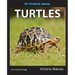 My Favorite Animal: Turtles