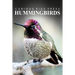 Hummingbirds - Curious Kids Press: Kids book about animals and wildlife, Children's books 4-6