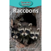 Raccoons