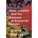 Marx, Capital, and the Madness of Economic Reason