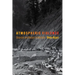 Atmospheric Violence: Disaster and Repair in Kashmir