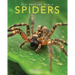 Spiders: Amazing Pictures & Fun Facts on Animals in Nature