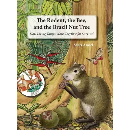 The Rodent, the Bee, and the Brazil Nut Tree: How Living Things Work Together for Survival