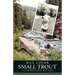 Small Trout: Fly Fishing That Matters