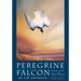 Peregrine Falcon: Stories of the Blue Meanie