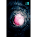 Pink Moon, a Story about Nick Drake