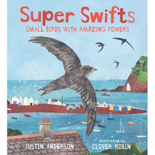 Super Swifts: Small Birds with Amazing Powers