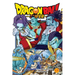 Dragon Ball Super, Vol. 17: God of Destruction Power