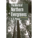 The World of Northern Evergreens