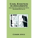 Carl Einstein in Documents