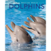 Dolphins: Amazing Pictures & Fun Facts on Animals in Nature