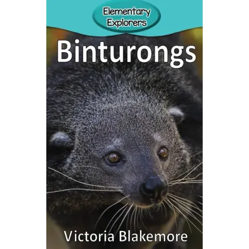 Binturongs