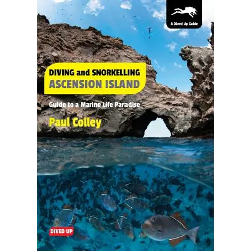 Diving and Snorkelling Ascension Island: Guide to a Marine Life Paradise