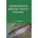 Adirondack Brook Trout Fishing