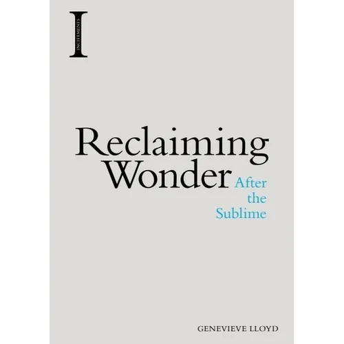 Reclaiming Wonder: After the Sublime