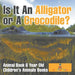 Is It An Alligator or A Crocodile? Animal Book 6 Year Old Children's Animal Books