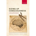 Sizing Up Consciousness: Towards an Objective Measure of the Capacity for Experience