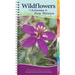 Wildflowers of Arizona & New Mexico: Your Way to Easily Identify Wildflowers