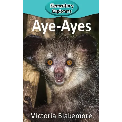 Aye-Ayes