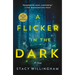 A Flicker in the Dark