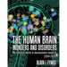The Human Brain - Wonders and Disorders: My Collected Works in Neuroscience Research (2018-2020)