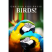 Birds! - Curious Kids Pess: (Picture book, Children's book about animals, Animal books for kids 5-7)