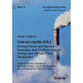 Coal-to-Liquids (CtL): Driving Forces and Barriers - Synergies and Conflicts from an Energy and Climate Policy Perspective. Including Country Studies