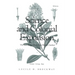 Science and Colonial Expansion: The Role of the British Royal Botanic Gardens