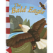The Bald Eagle