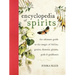 The Encyclopedia of Spirits: The Ultimate Guide to the Magic of Fairies, Genies, Demons, Ghosts, Gods and Goddesses