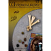 Wyrdwalkers: Techniques of Northern-Tradition Shamanism