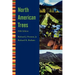 North American Trees