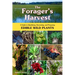 The Forager's Harvest: A Guide to Identifying, Harvesting, and Preparing Edible Wild Plants