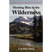 Meeting Him in the Wilderness: A True Story of Adventure and Faith