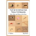 Top 12 Nymphs for Trout Streams: How, When, and Where to Fish Them