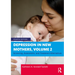 Depression in New Mothers, Volume 2: Screening, Assessment, and Treatment Alternatives