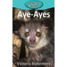 Aye-Ayes