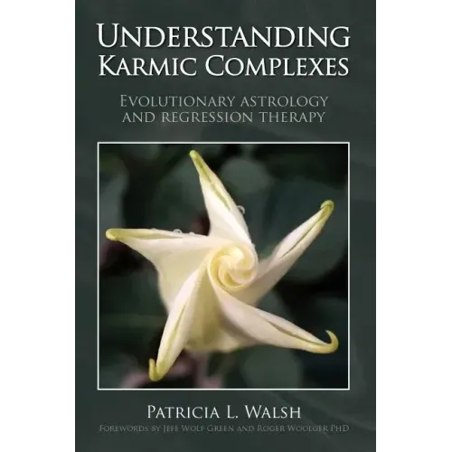Understanding Karmic Complexes