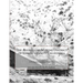 The Alleghany Mining District of Sierra County California