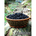 The Gospel According to a Blackberry