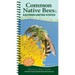 Common Native Bees of the Eastern United States: Your Way to Easily Identify Bees and Look-Alikes