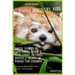 Panda Discovery Kids: Jungle Stories of Cute Panda Bears with Funny Pictures, Photos & Memes of Pandas for Children